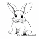 Cartoon Rabbit Coloring Pages for Kids 3