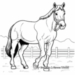 Clydesdale Horse Coloring Pages for Kids 1