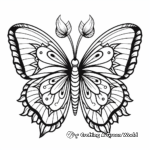 Colorful Butterfly Summer Mandala Coloring Pages 2