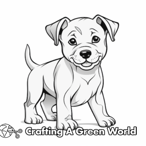 Pitbull Coloring Pages - Free &amp; Printable!