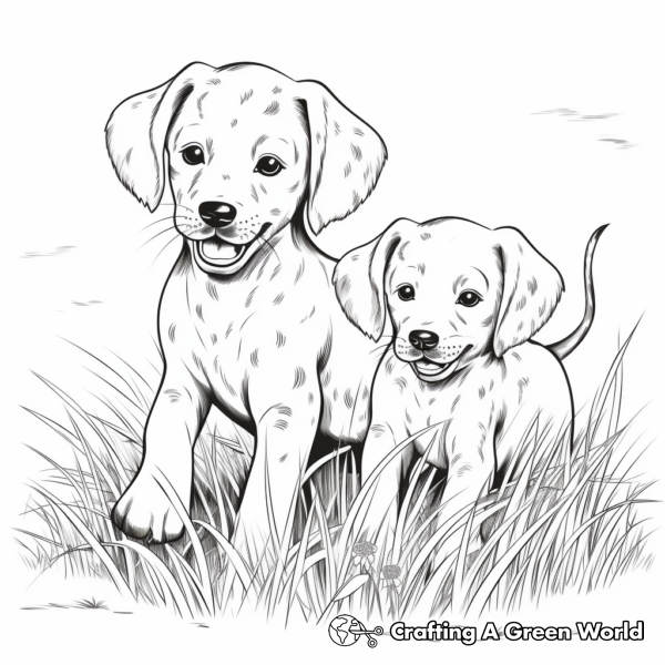 Dalmatian Coloring Pages - Free &amp; Printable!