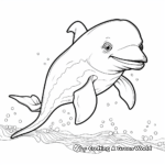 Delightful Dolphin Coloring Pages 2