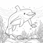 Delightful Dolphin Coloring Pages 3