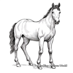 Detailed Black Horse Coloring Pages for Adults 1
