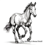 Detailed Black Horse Coloring Pages for Adults 3