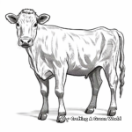 Detailed Milking Shorthorn Cow Coloring Pages 1