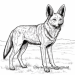 Dynamic Side-striped Jackal Coloring Pages 2