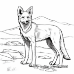 Ethiopian Wolf, aka Abyssinian Jackal Coloring Pages 1