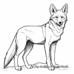 Ethiopian Wolf, aka Abyssinian Jackal Coloring Pages 2