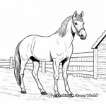 Exotic Arabian Horse Coloring Pages 1