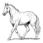 Exotic Arabian Horse Coloring Pages 2