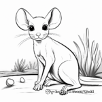 Exotic Kangaroo Rat Coloring Pages 3