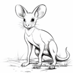 Exotic Kangaroo Rat Coloring Pages 4