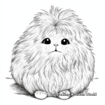 Fluffy Angora Rabbit Coloring Pages 3