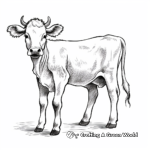 Friendly Guernsey Cow Coloring Pages 1