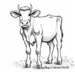 Friendly Guernsey Cow Coloring Pages 2