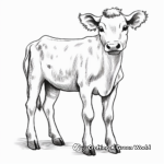 Friendly Guernsey Cow Coloring Pages 3