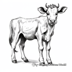 Friendly Guernsey Cow Coloring Pages 4