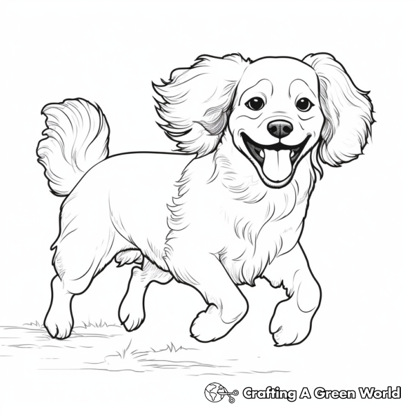 Cavalier King Charles Spaniel Coloring Pages - Free &amp; Printable!