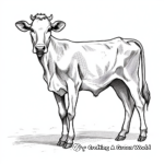 Holstein Friesian Cow Coloring Pages 3