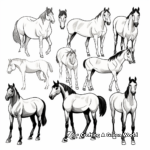 Horse Breeds of the World Coloring Pages 1