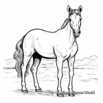 Horse Breeds of the World Coloring Pages 2
