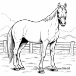 Horse Breeds of the World Coloring Pages 4