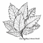 Intricate Autumn Leaf Patterns Coloring Pages 4