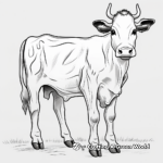 Jersey Dairy Cow Coloring Pages 4