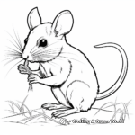 Kangaroo Rat Eating Seeds Coloring Pages 1