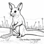 Kangaroo Rat Eating Seeds Coloring Pages 2