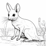 Kangaroo Rat Eating Seeds Coloring Pages 3