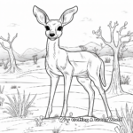 Kangaroo Rat Habitat Coloring Pages 1