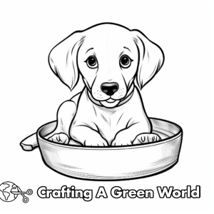 Dog Bowl Coloring Pages - Free & Printable!