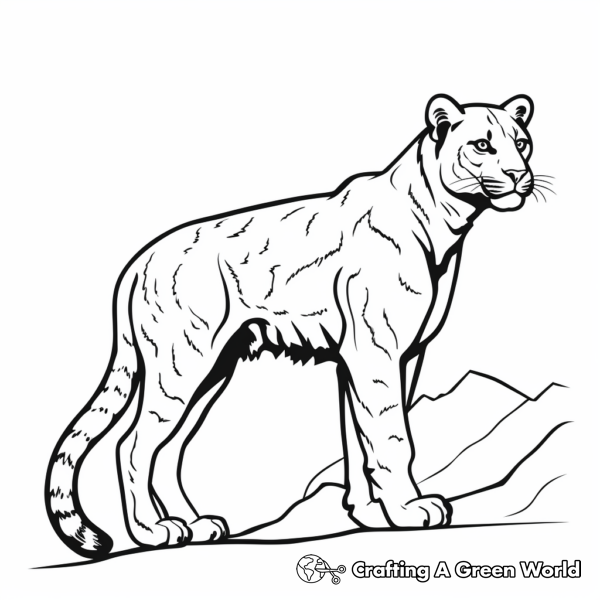 Mountain Lion Coloring Pages - Free & Printable!