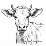 Normande Cow Portrait Coloring Pages 1