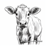 Normande Cow Portrait Coloring Pages 2
