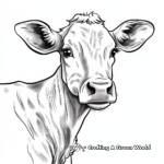 Normande Cow Portrait Coloring Pages 4