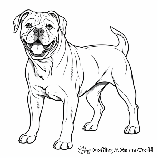 American Bulldog Coloring Pages - Free &amp; Printable!