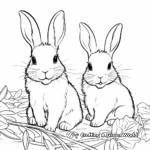 Rabbits Enjoying Carrots Coloring Pages 2