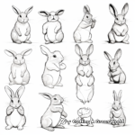 Rabbits in Various Postures Coloring Pages 1