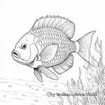 Rainbow Parrotfish Coloring Pages 1