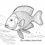 Rainbow Parrotfish Coloring Pages 2