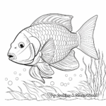 Rainbow Parrotfish Coloring Pages 3