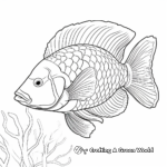 Rainbow Parrotfish Coloring Pages 4