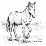 Realistic Farm Horse Coloring Pages 1