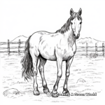 Realistic Farm Horse Coloring Pages 3