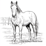 Realistic Farm Horse Coloring Pages 4
