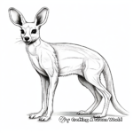 Realistic Kangaroo Rat Coloring Pages 1