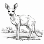 Realistic Kangaroo Rat Coloring Pages 3